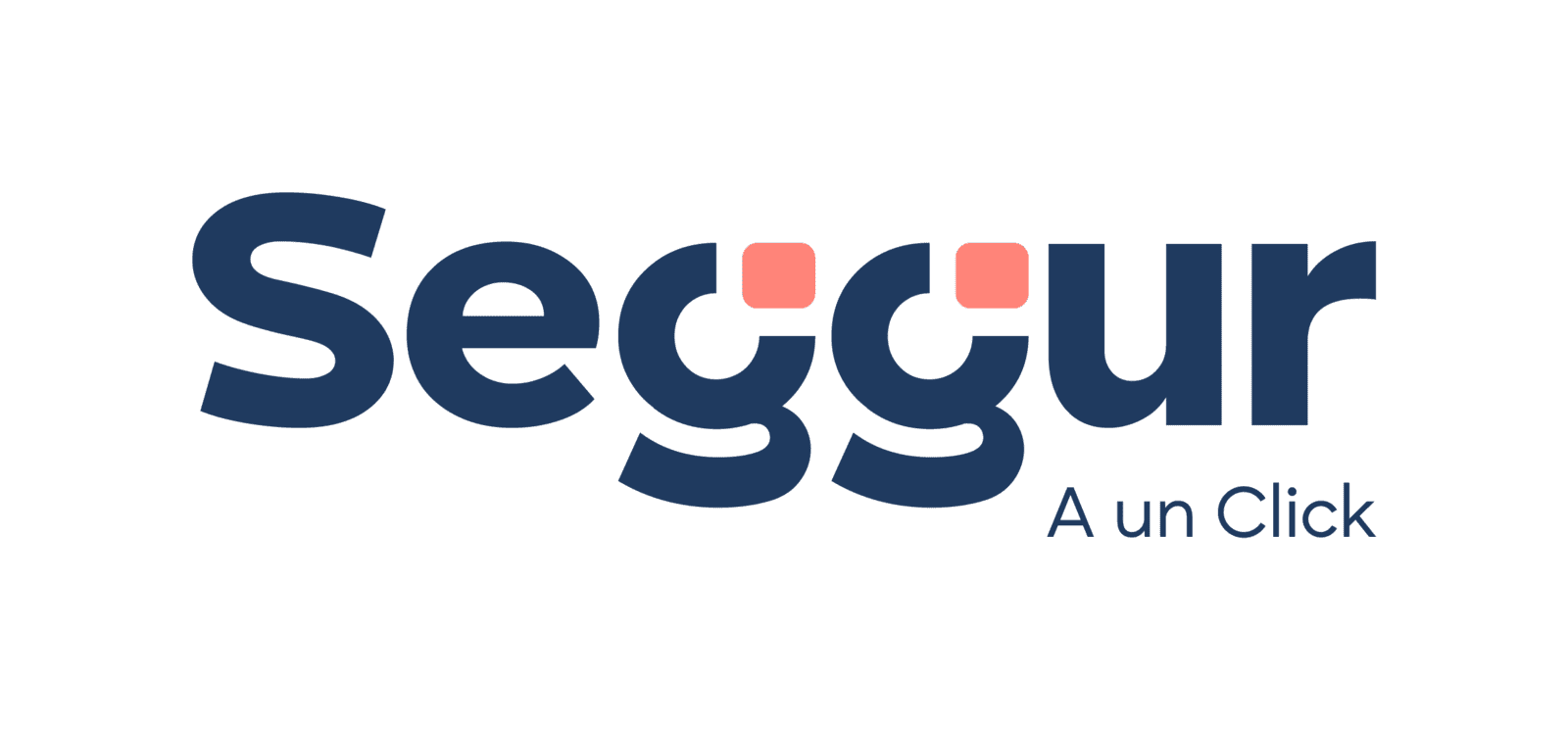 Seggur